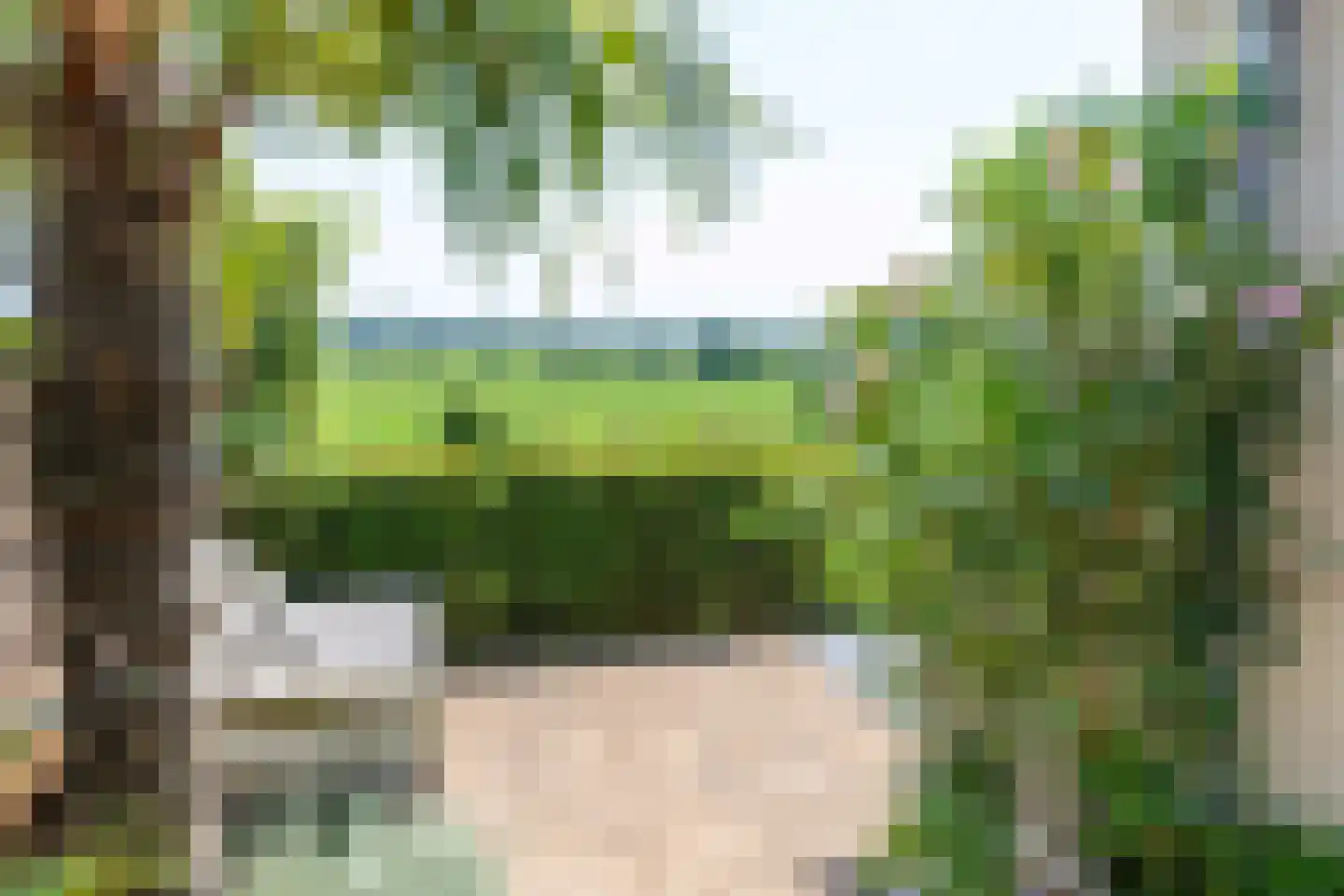 Benedendorpsweg 51 Oosterbeek thumbnail 69