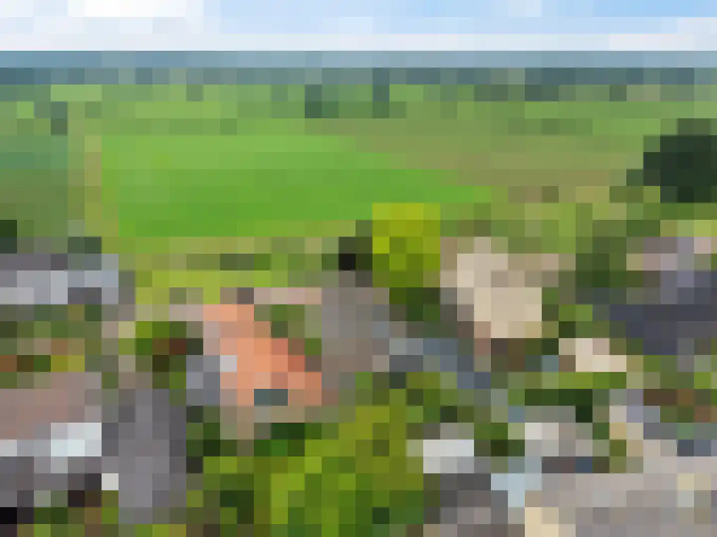Benedendorpsweg 51 Oosterbeek thumbnail 7