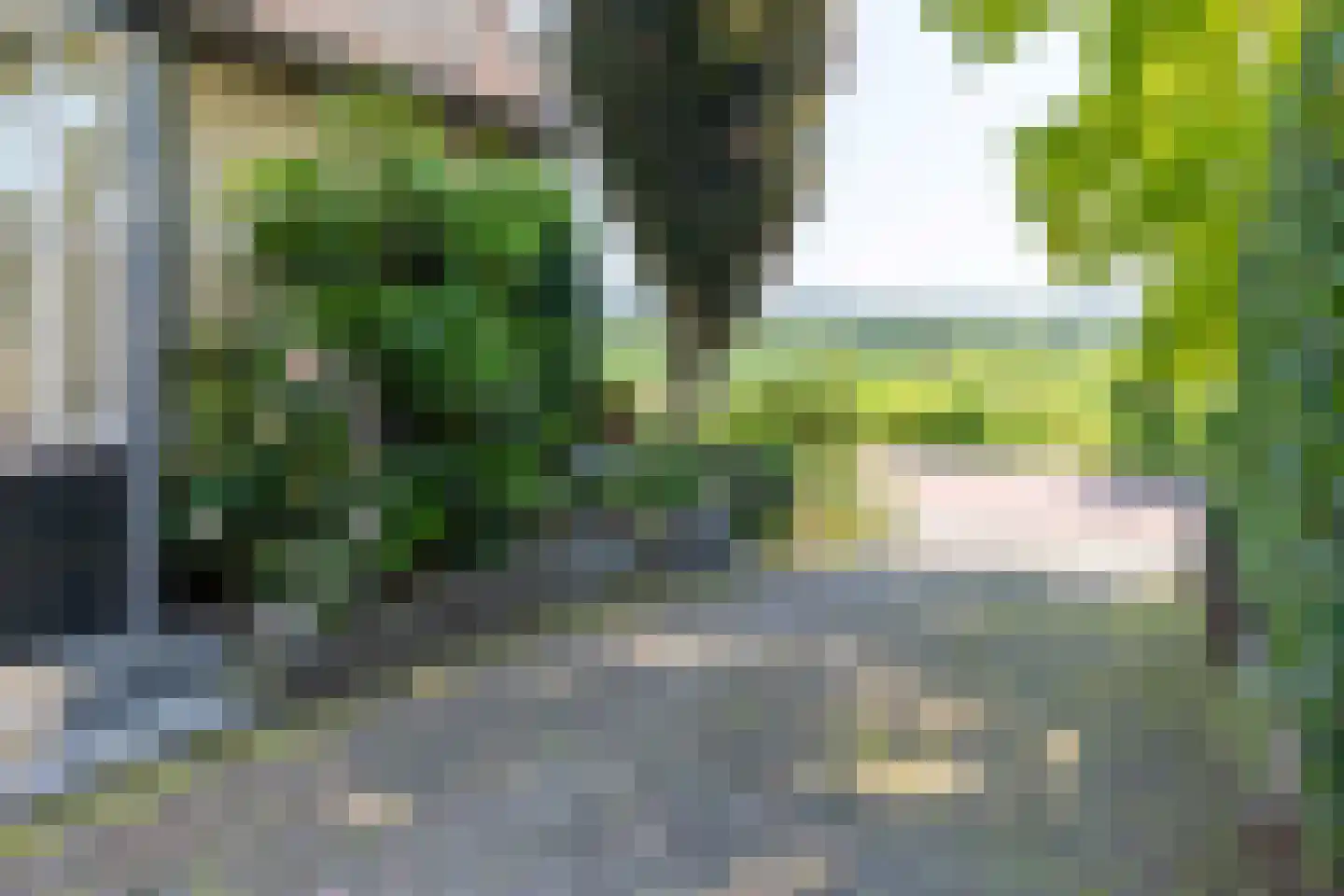 Benedendorpsweg 51 Oosterbeek thumbnail 71