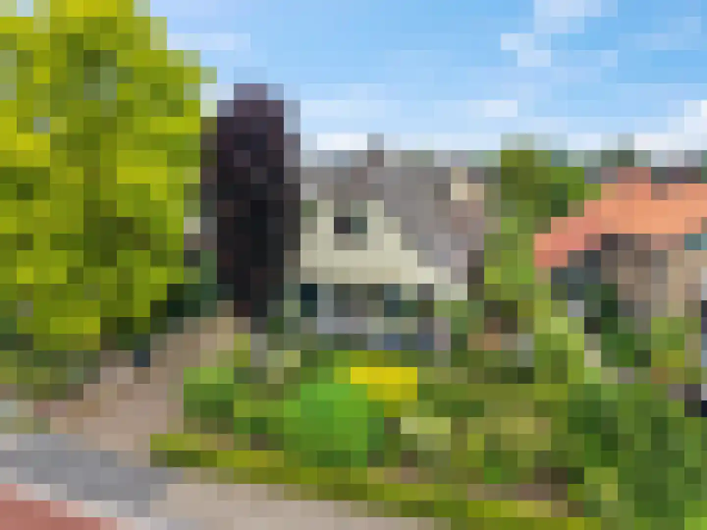 Benedendorpsweg 51 Oosterbeek thumbnail 8