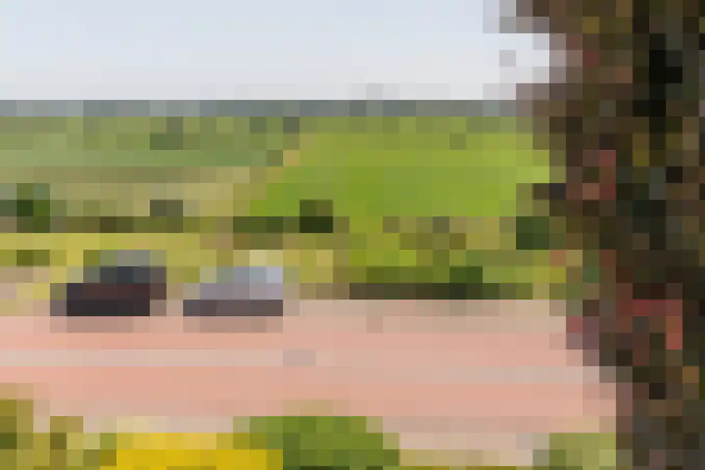 Benedendorpsweg 51 Oosterbeek thumbnail 87