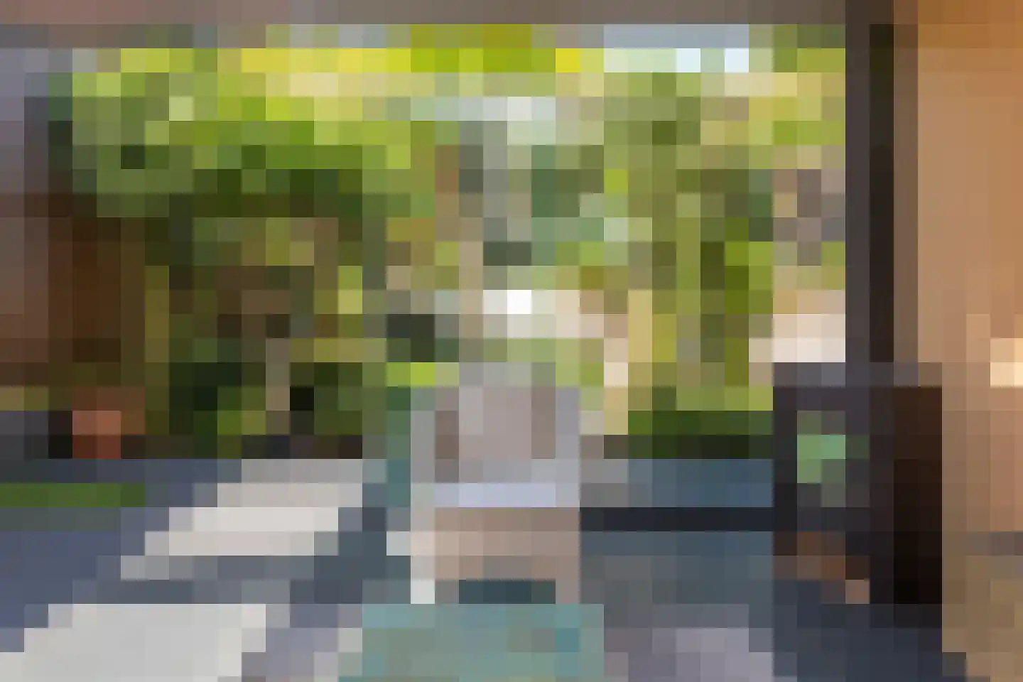 Benedendorpsweg 51 Oosterbeek thumbnail 88