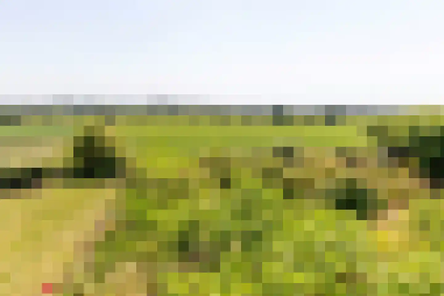 Benedendorpsweg 51 Oosterbeek thumbnail 9