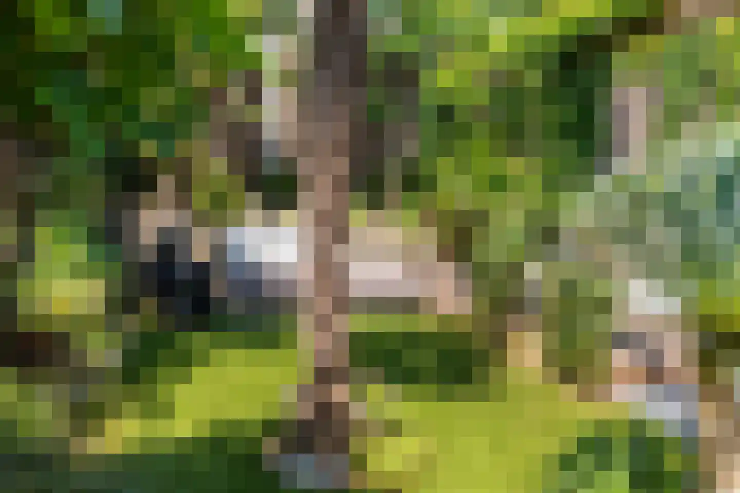 Benedendorpsweg 51 Oosterbeek thumbnail 91