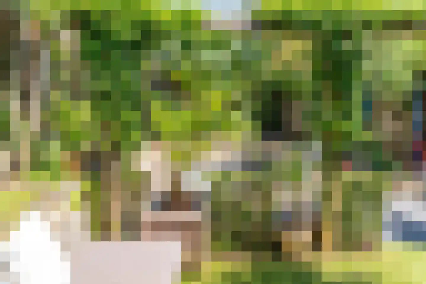 Benedendorpsweg 51 Oosterbeek thumbnail 92