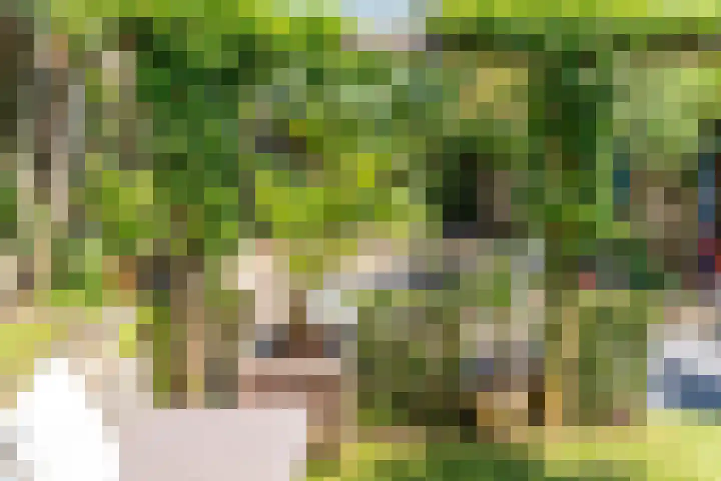 Benedendorpsweg 51 Oosterbeek thumbnail 92