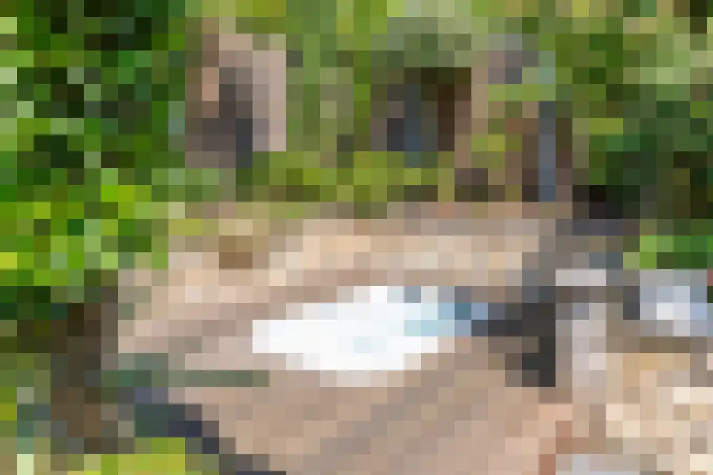 Benedendorpsweg 51 Oosterbeek thumbnail 93