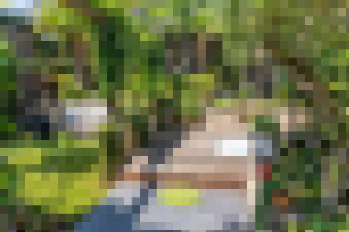 Benedendorpsweg 51 Oosterbeek thumbnail 94