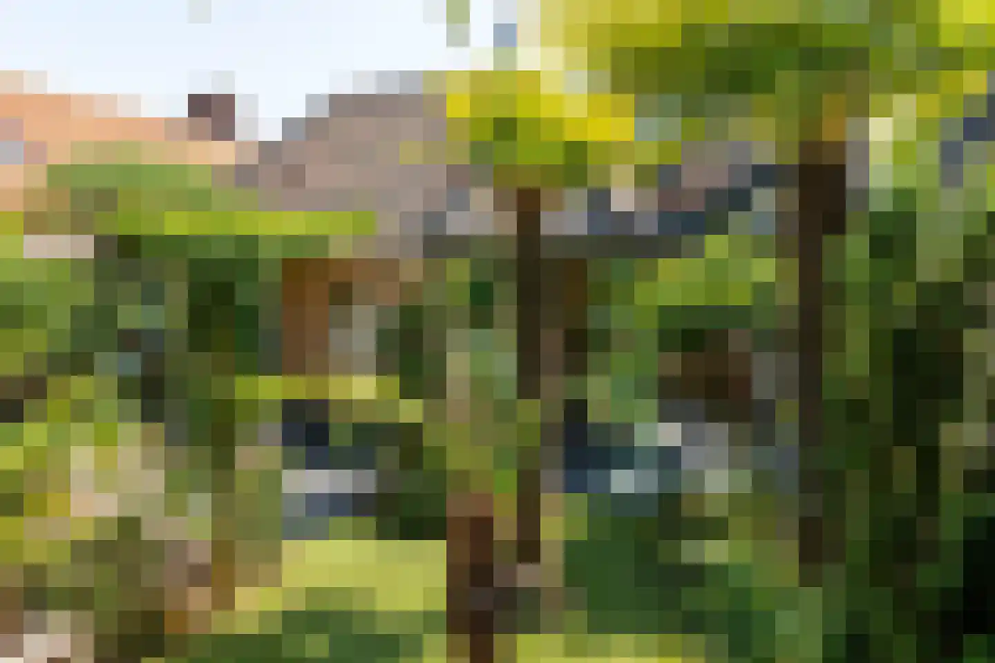 Benedendorpsweg 51 Oosterbeek thumbnail 96
