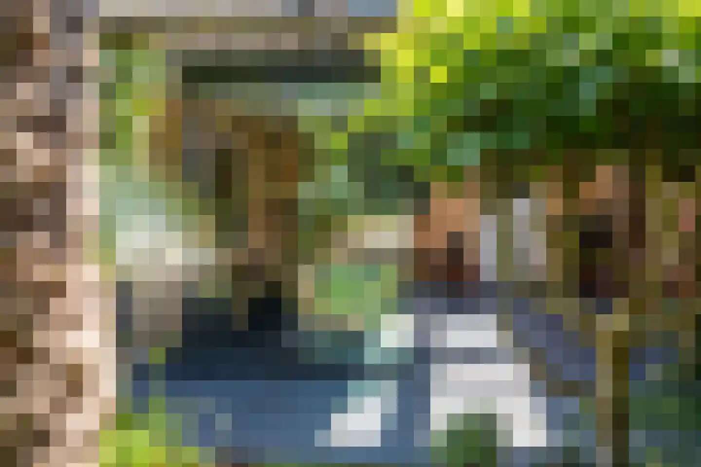 Benedendorpsweg 51 Oosterbeek thumbnail 97
