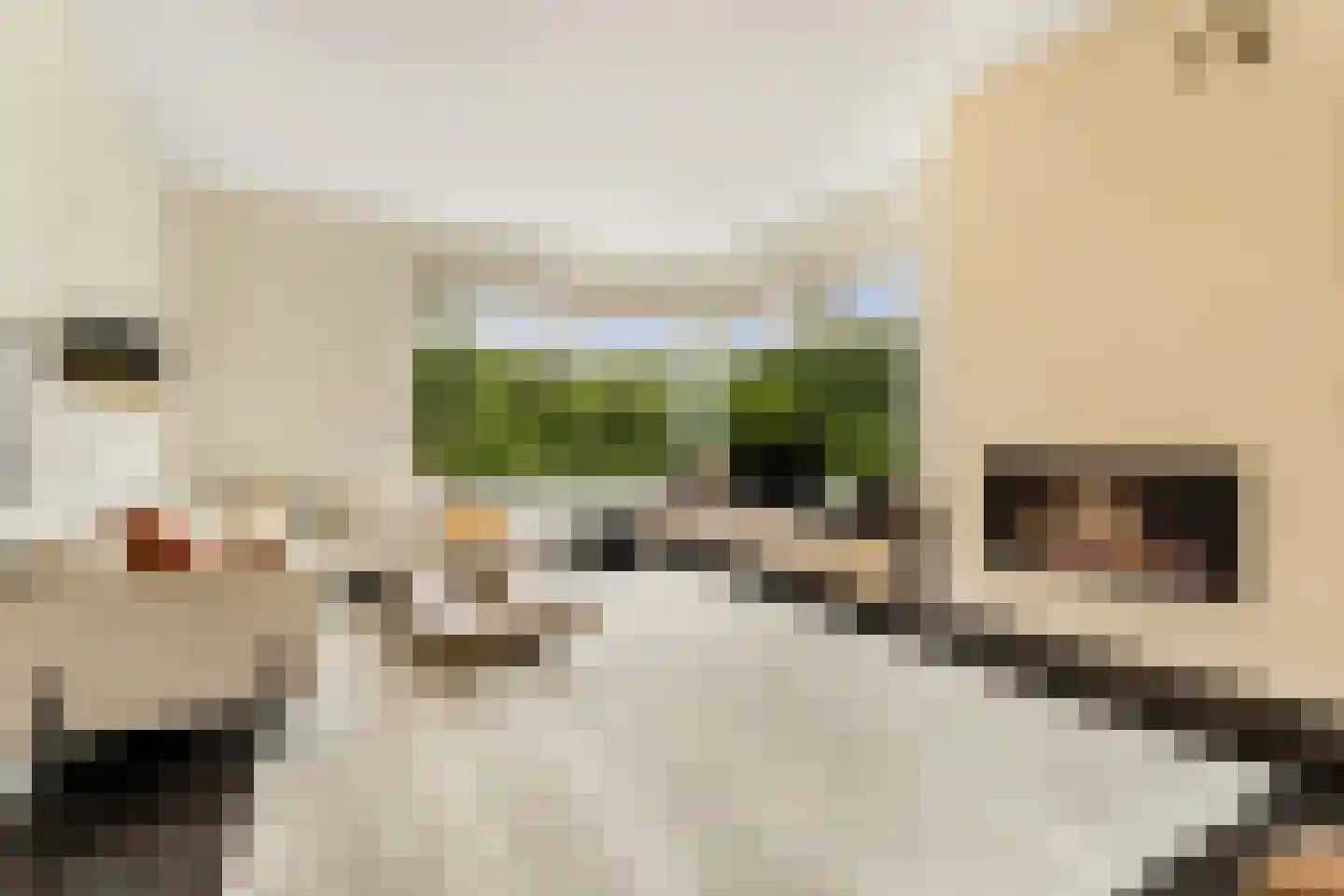 Benedeneind 9 Veenendaal thumbnail 11
