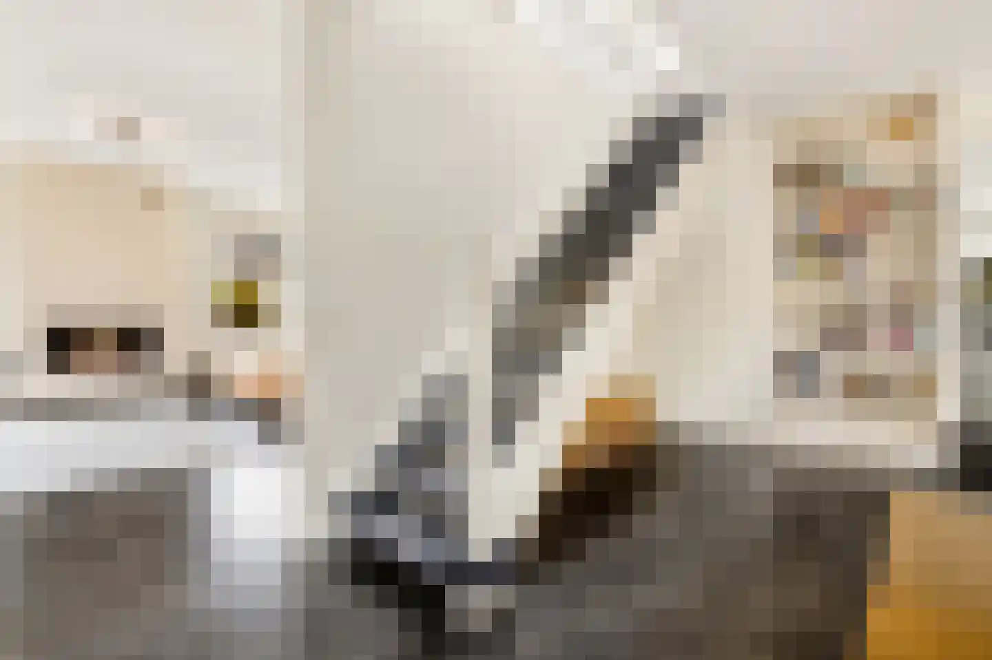 Benedeneind 9 Veenendaal thumbnail 18