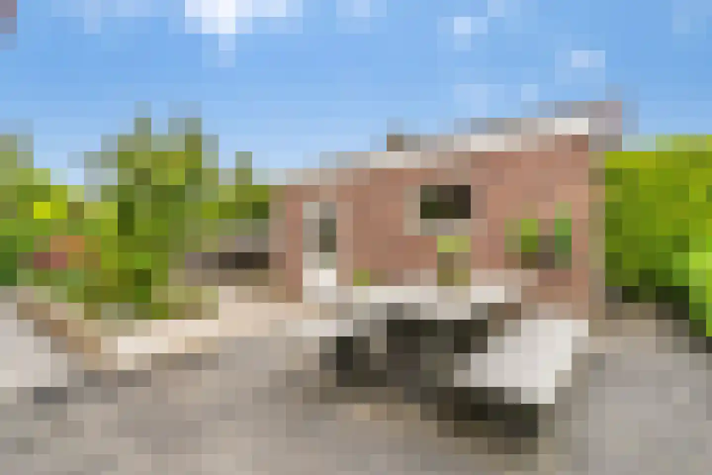 Benedeneind 9 Veenendaal thumbnail 31