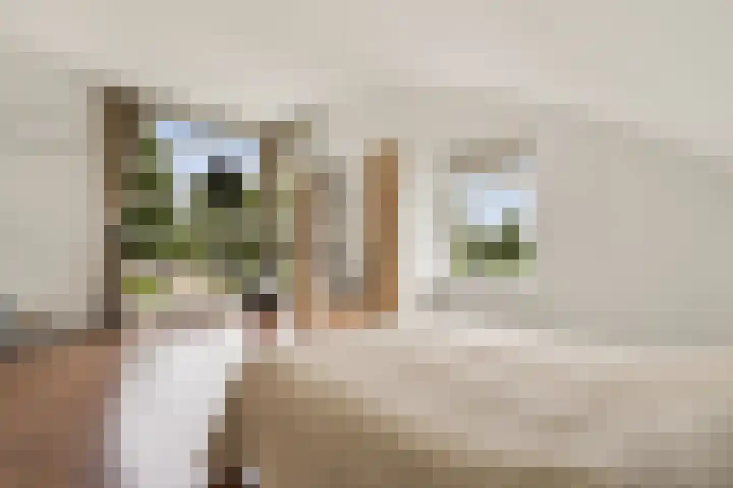Benedeneind 9 Veenendaal thumbnail 37