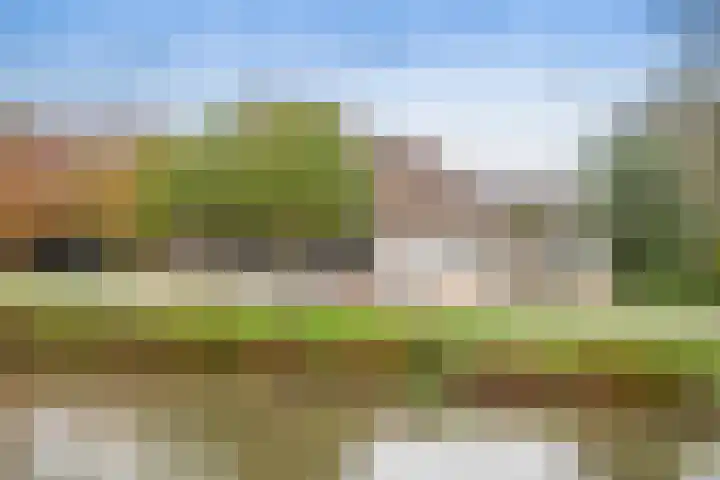 Benedeneind NZ 384 Benschop thumbnail 12
