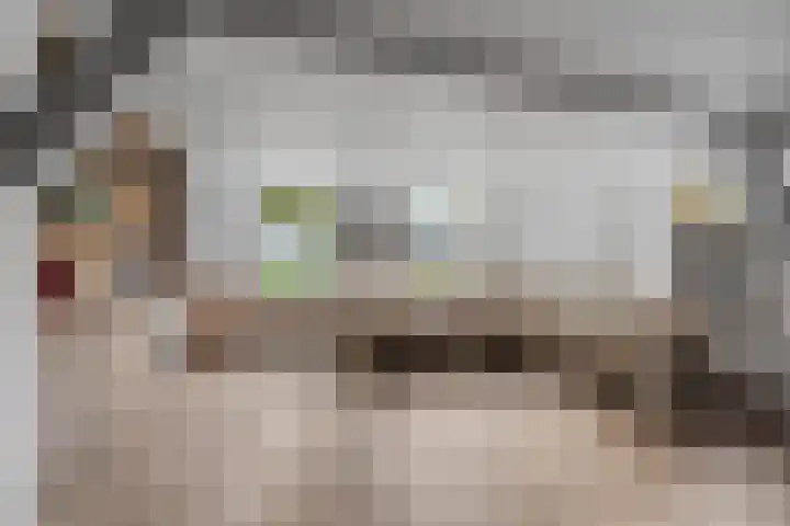 Benedeneind NZ 384 Benschop thumbnail 47
