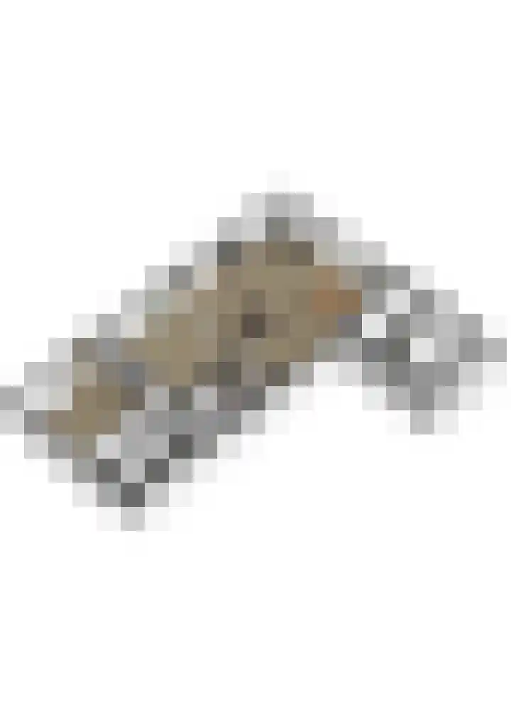 Benedeneind NZ 384 Benschop thumbnail 90