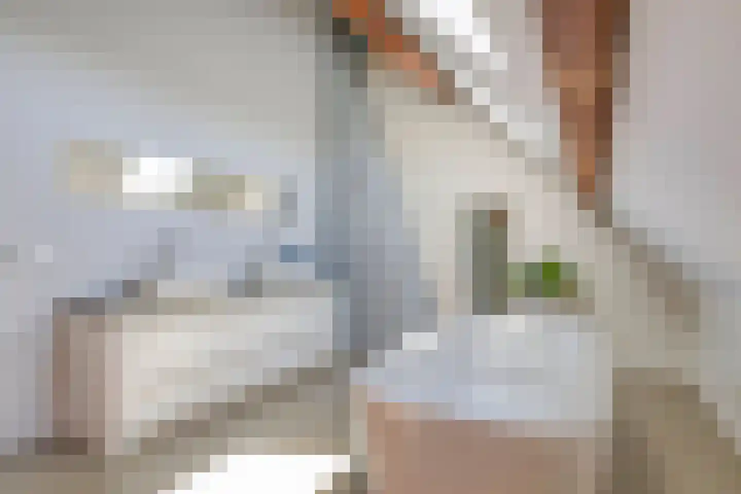 Benedeneind NZ 430 Benschop thumbnail 36