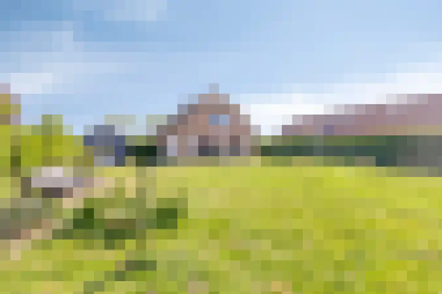 Benedeneind NZ 430 Benschop thumbnail 48