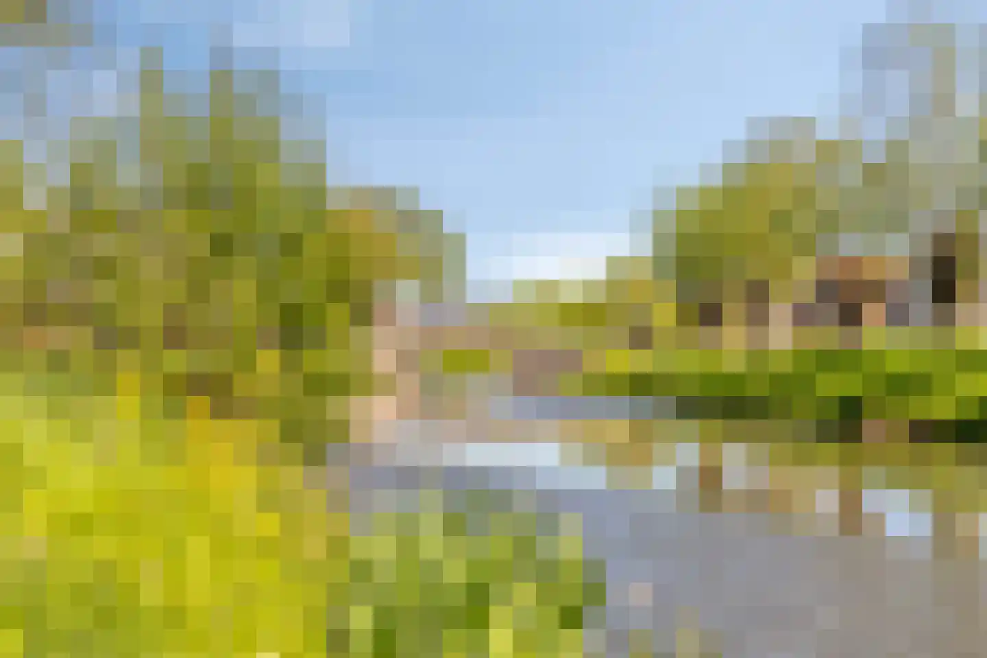 Benedeneind NZ 430 Benschop thumbnail 58