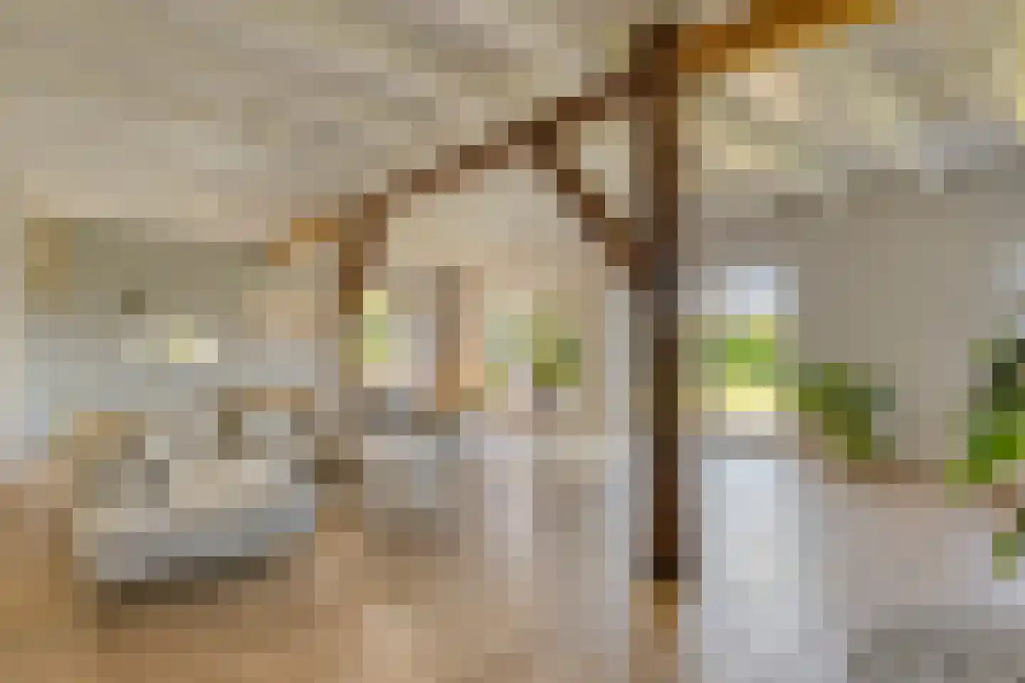 Benedeneind NZ 430 Benschop thumbnail 6