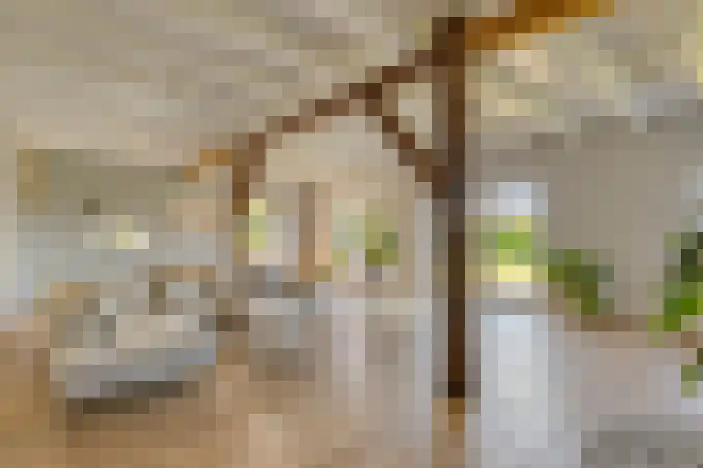 Benedeneind NZ 430 Benschop thumbnail 8