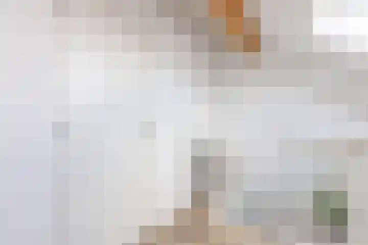 Benedeneind NZ 478 E Benschop thumbnail 26