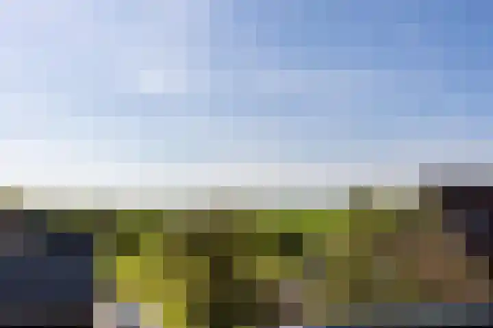 Benedeneind NZ 478 E Benschop thumbnail 47