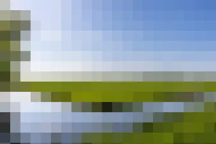 Benedeneind NZ 478 E Benschop thumbnail 48