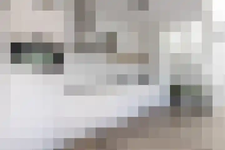 Benedeneind NZ 478 E Benschop thumbnail 8