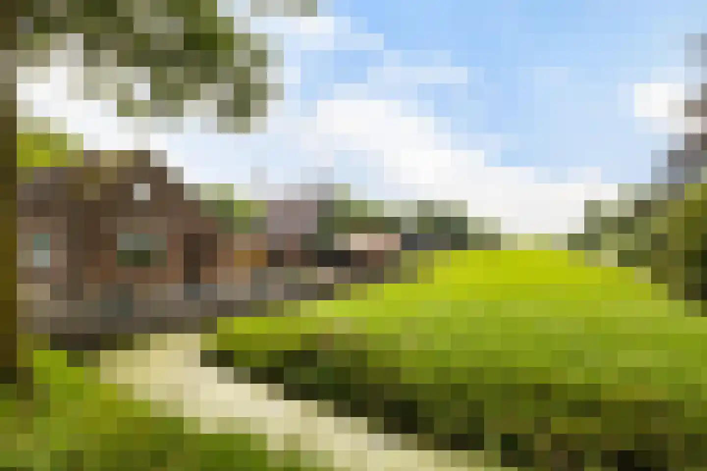 Benedeneind ZZ 285 Benschop thumbnail 43