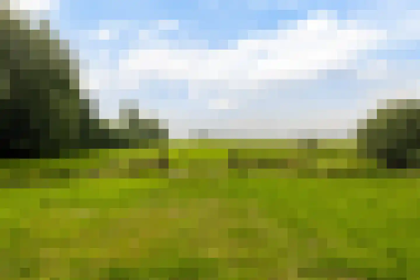 Benedeneind ZZ 285 Benschop thumbnail 44