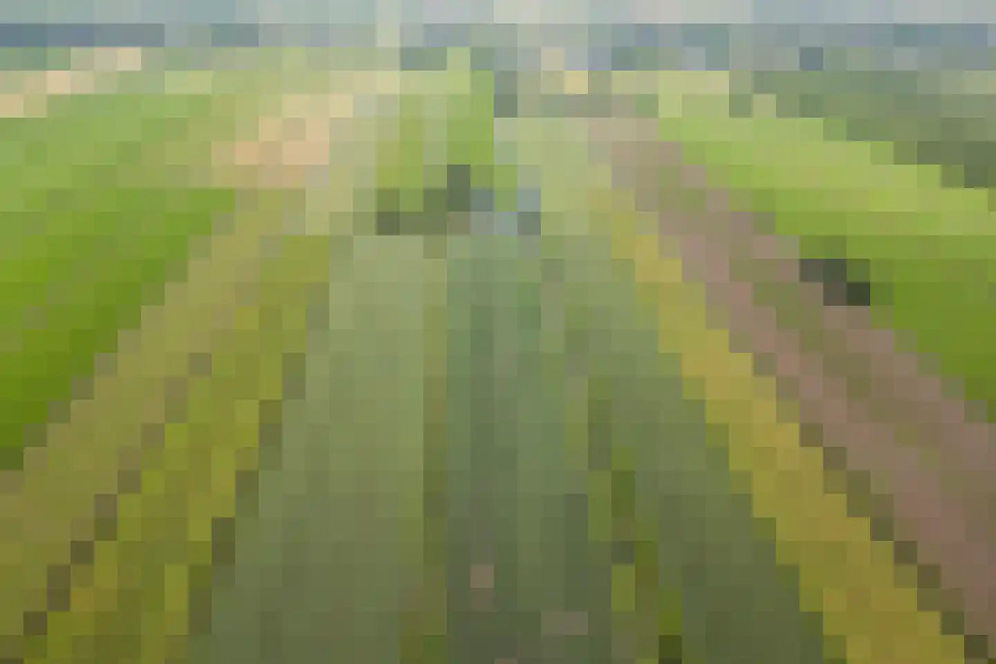 Benedeneind ZZ 285 Benschop thumbnail 52