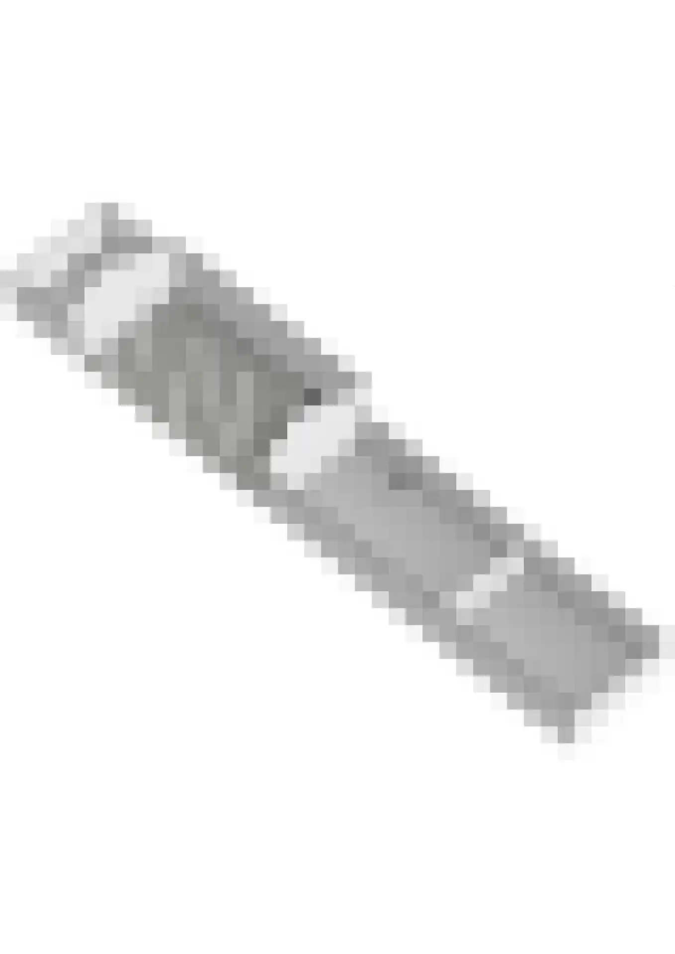 Benedeneind ZZ 285 Benschop thumbnail 65