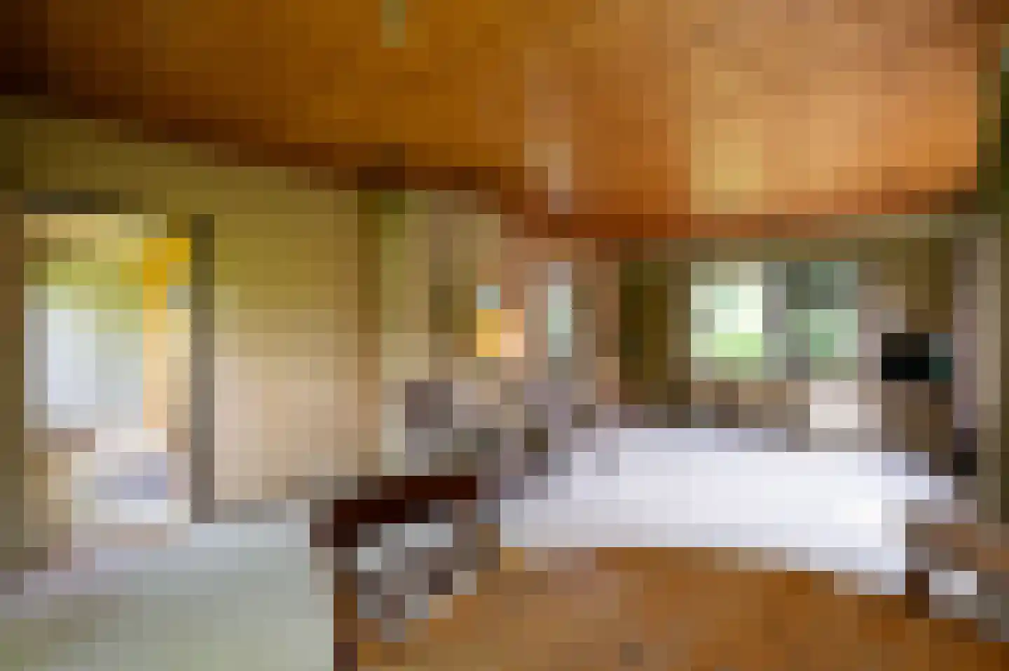 Benedeneindseweg 21 Deil thumbnail 11