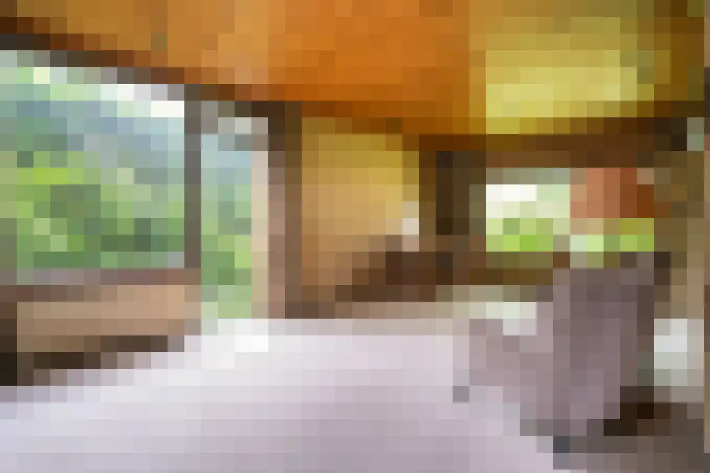 Benedeneindseweg 21 Deil thumbnail 12