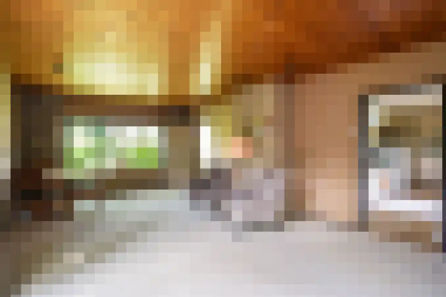 Benedeneindseweg 21 Deil thumbnail 13