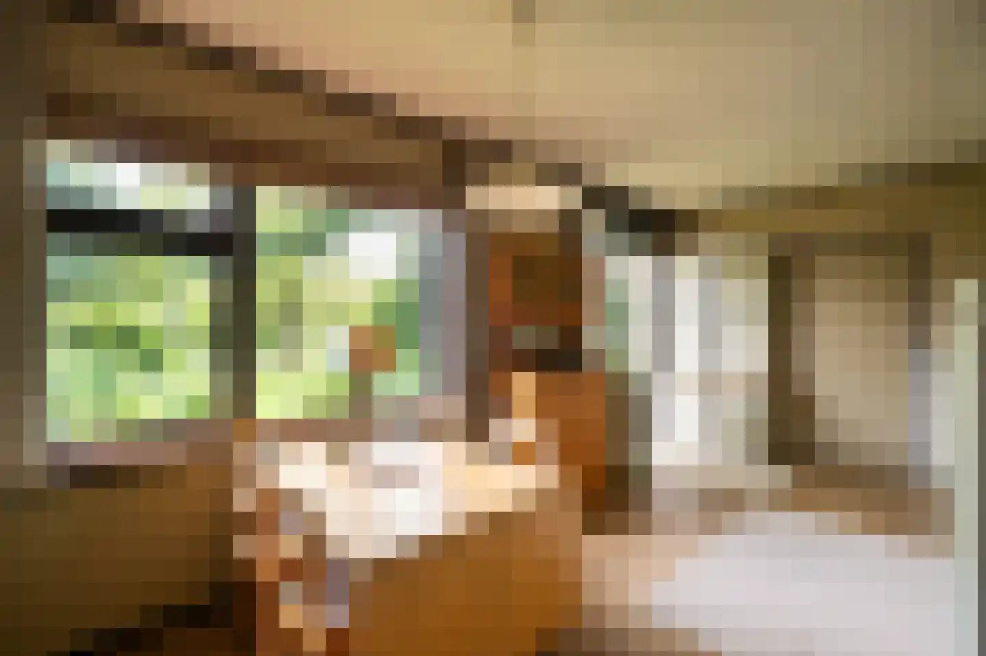 Benedeneindseweg 21 Deil thumbnail 15