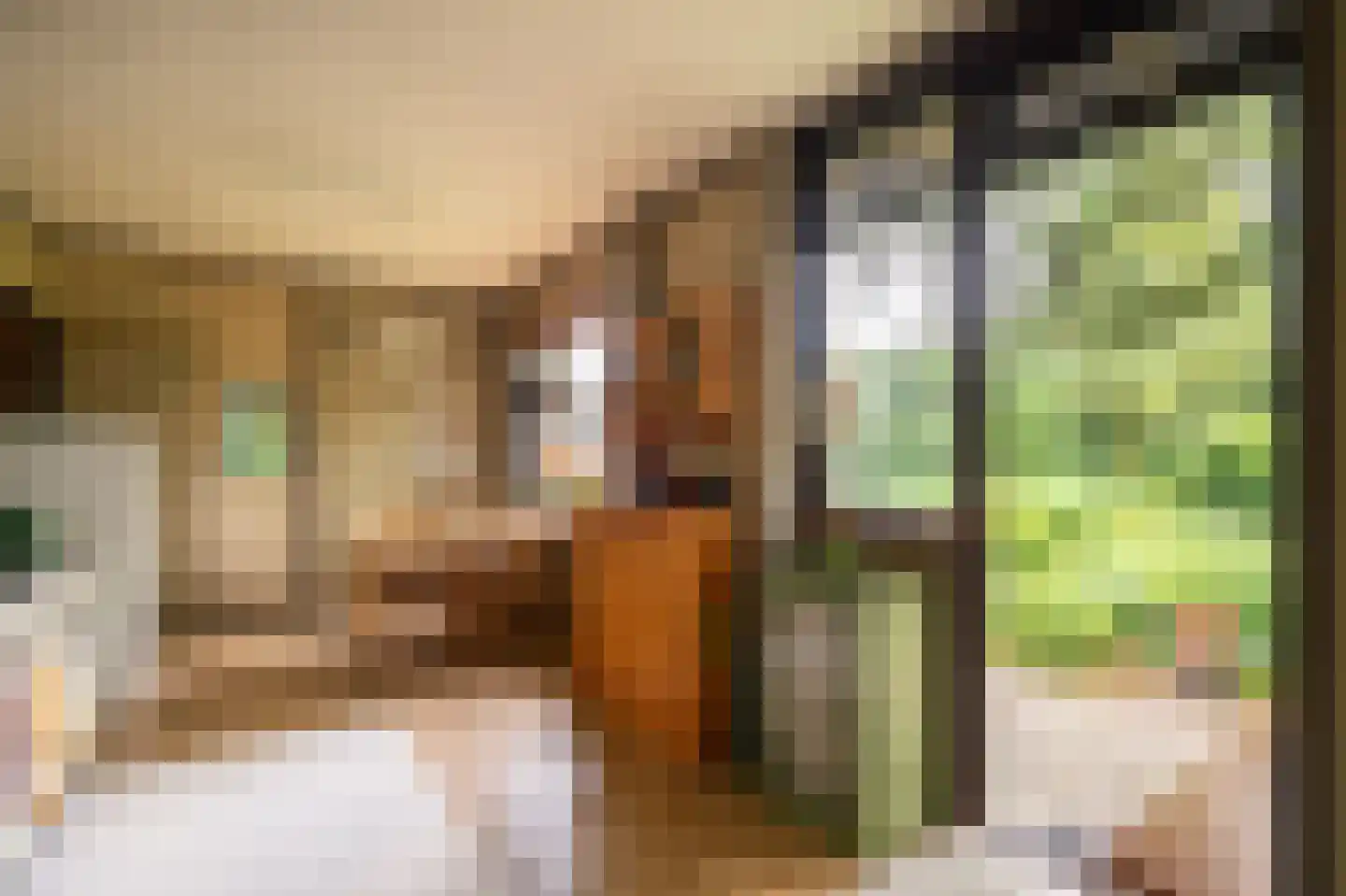 Benedeneindseweg 21 Deil thumbnail 16