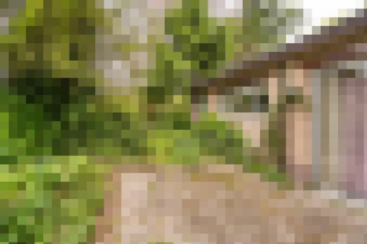 Benedeneindseweg 21 Deil thumbnail 33