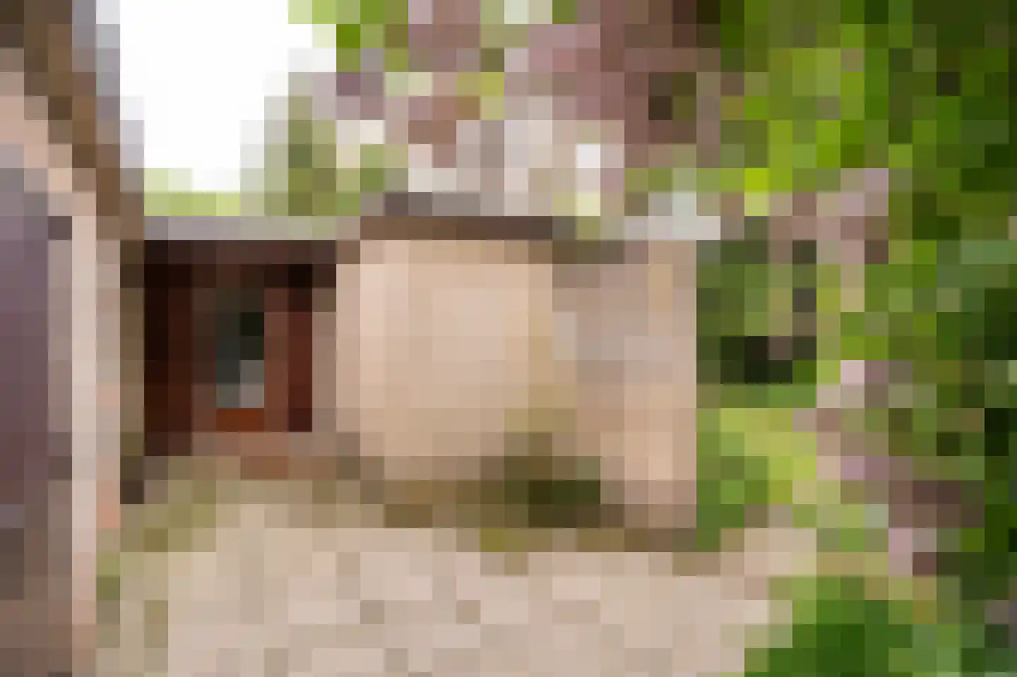 Benedeneindseweg 21 Deil thumbnail 34