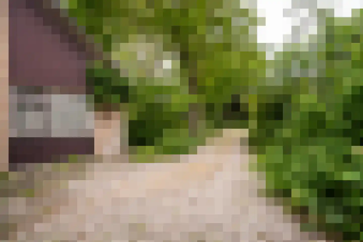 Benedeneindseweg 21 Deil thumbnail 35