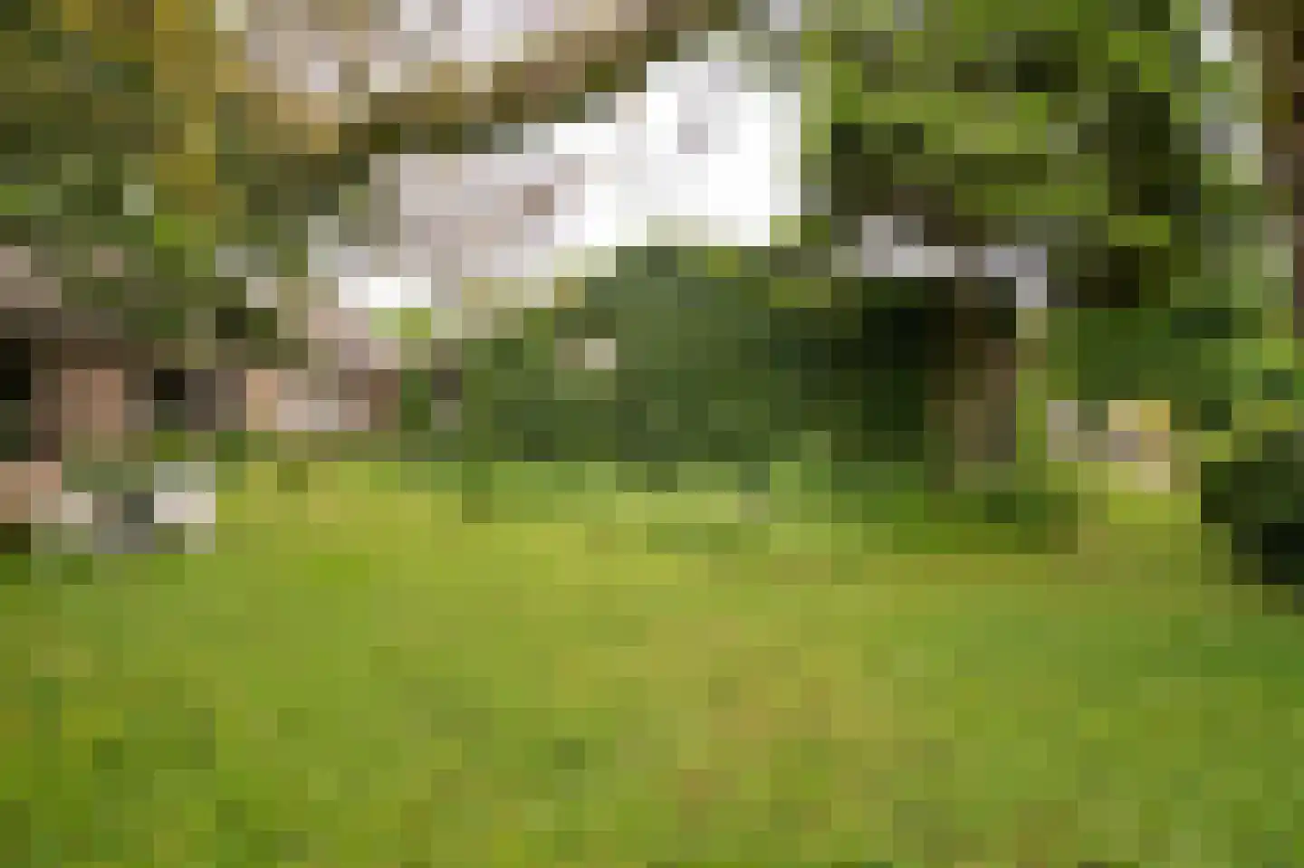 Benedeneindseweg 21 Deil thumbnail 36