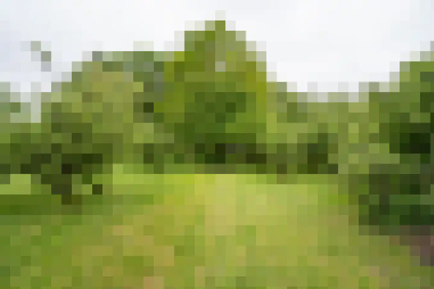 Benedeneindseweg 21 Deil thumbnail 38