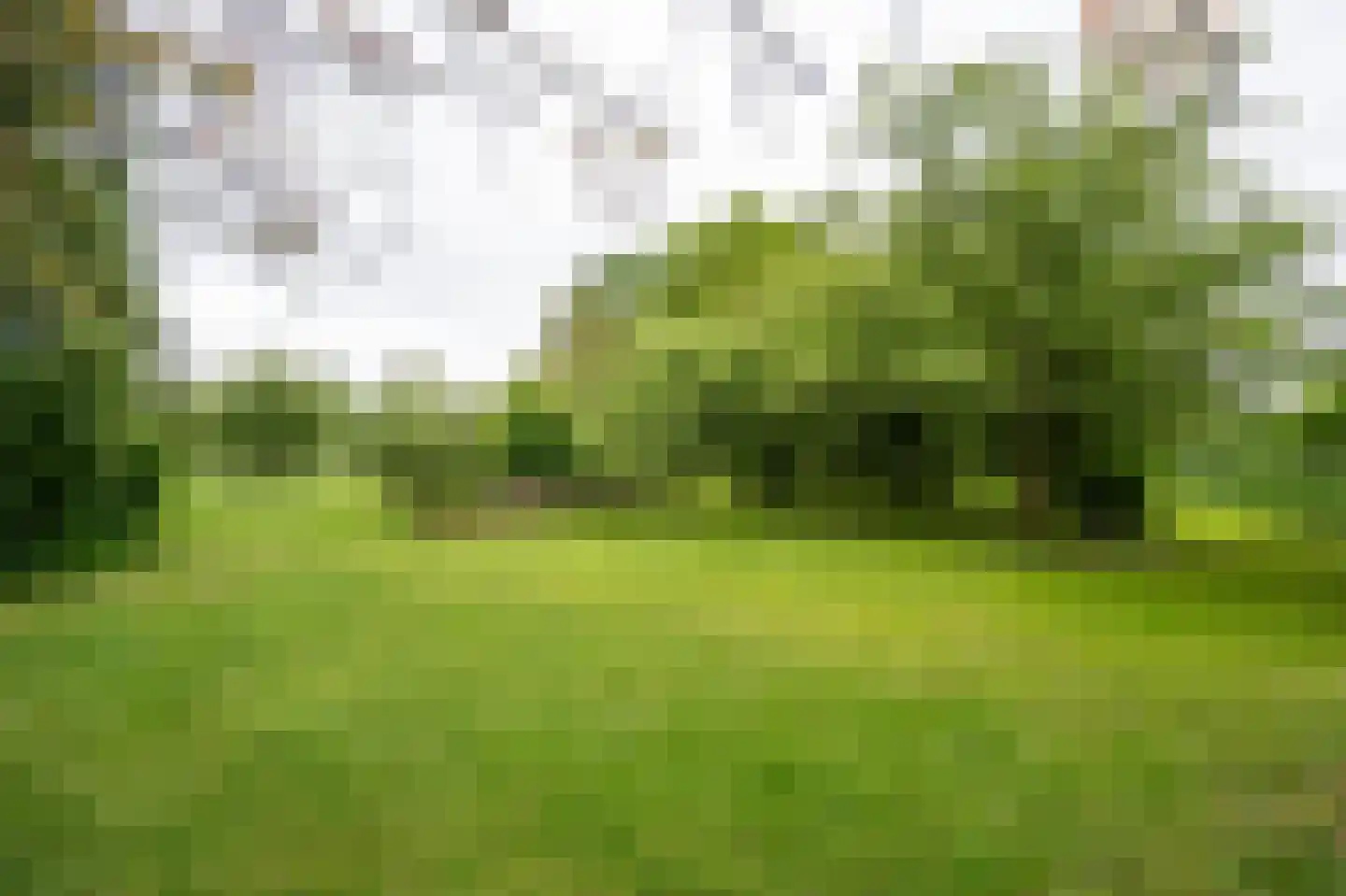 Benedeneindseweg 21 Deil thumbnail 39