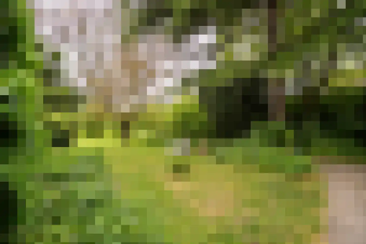Benedeneindseweg 21 Deil thumbnail 4