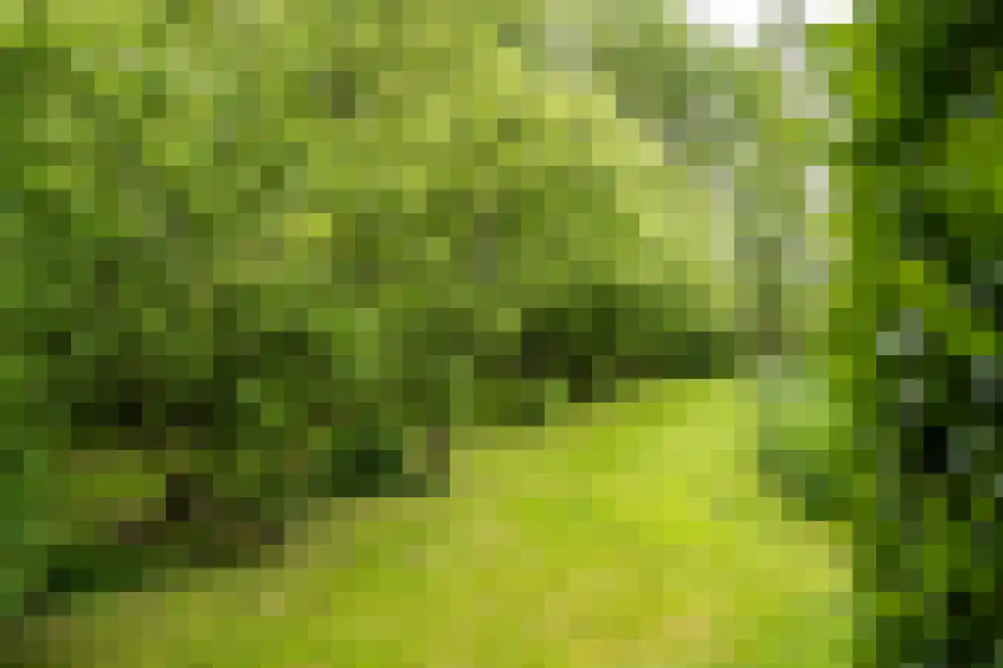 Benedeneindseweg 21 Deil thumbnail 40