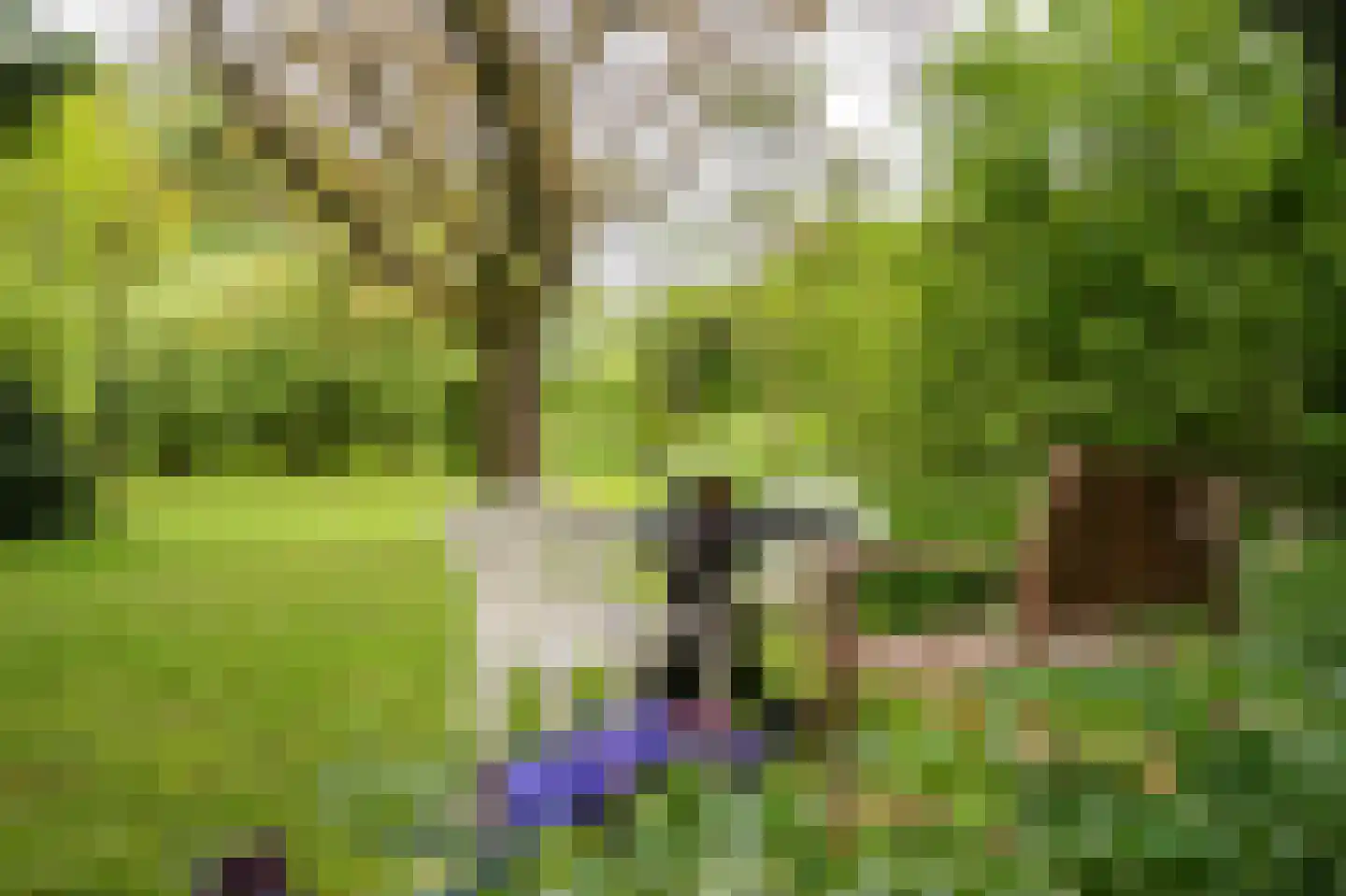 Benedeneindseweg 21 Deil thumbnail 41