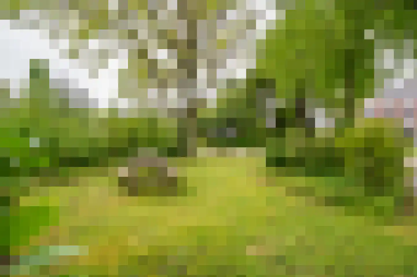 Benedeneindseweg 21 Deil thumbnail 42