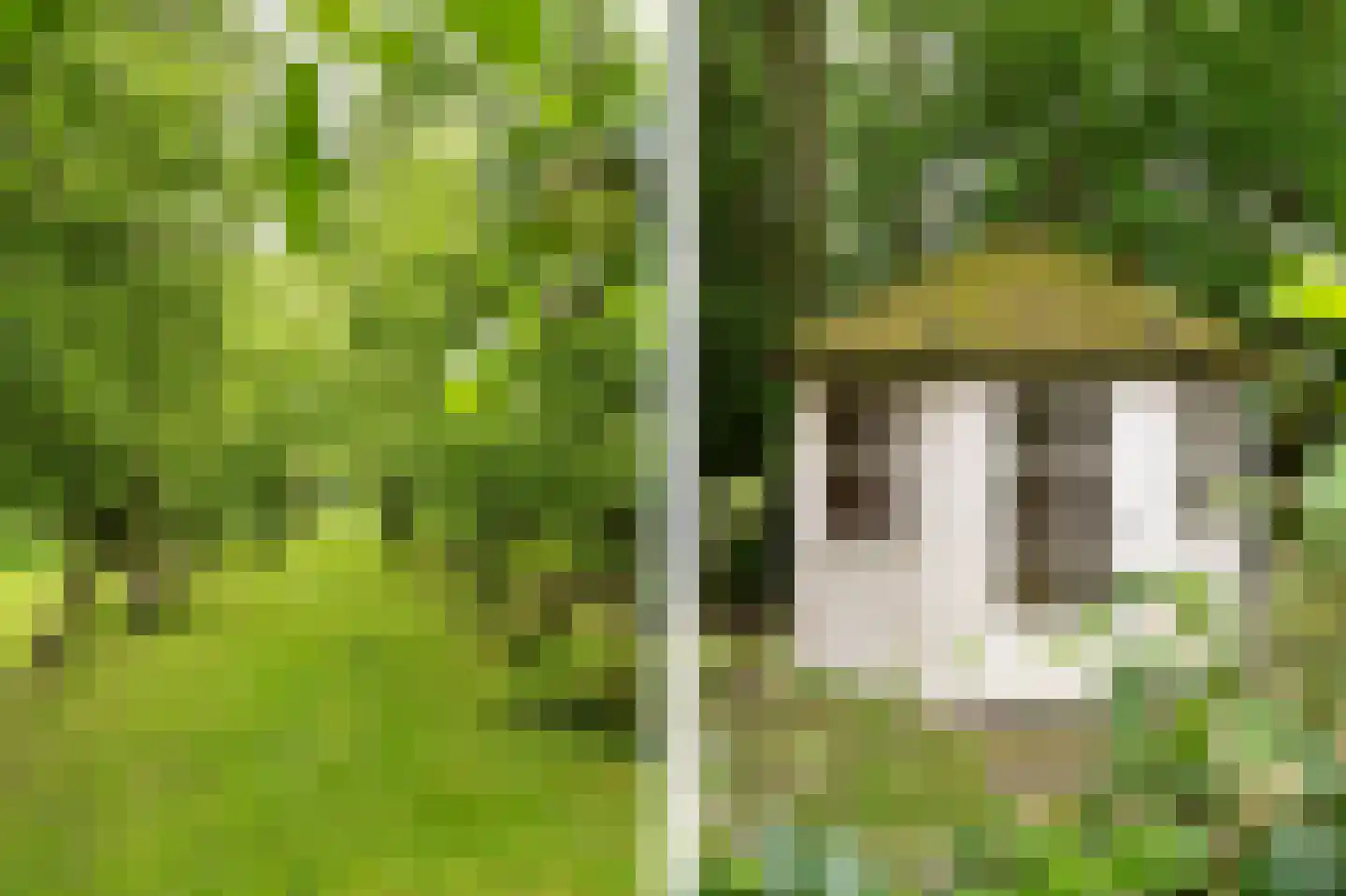 Benedeneindseweg 21 Deil thumbnail 43